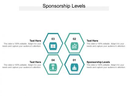 Sponsorship levels ppt powerpoint presentation icon structure cpb