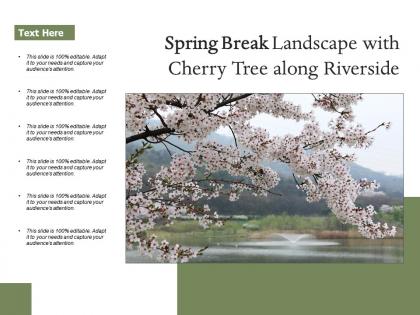 Spring break landscape with cherry tree along riverside