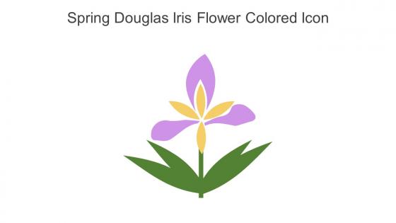 Spring Douglas Iris Flower Colored Icon In Powerpoint Pptx Png And Editable Eps Format
