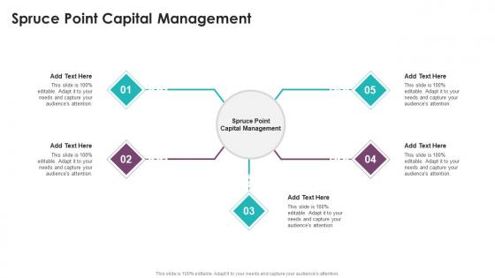 Spruce Point Capital Management In Powerpoint And Google Slides Cpb