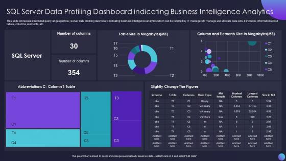 SQL Server Data Profiling Dashboard Indicating Business Intelligence Analytics
