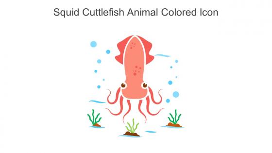 Squid Cuttlefish Animal Colored Icon In Powerpoint Pptx Png And Editable Eps Format
