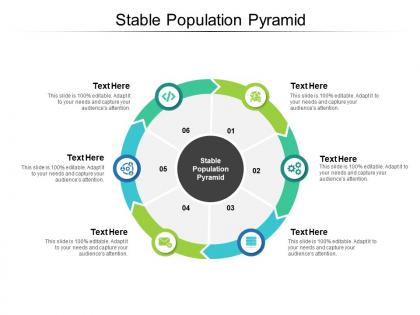 Stable population pyramid ppt powerpoint presentation summary smartart cpb