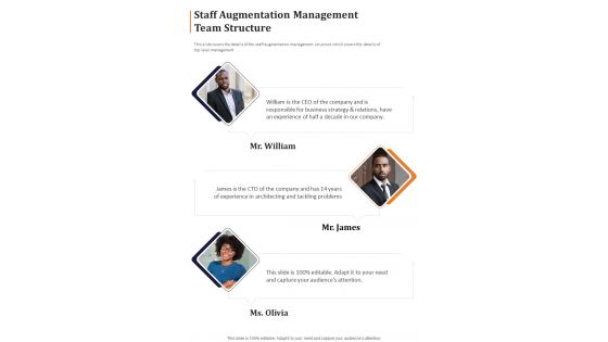 Staff Augmentation Management Team Structure One Pager Sample Example Document