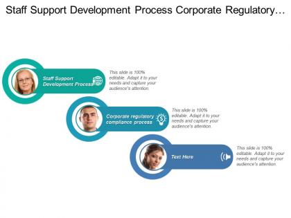 Staff support development process corporate regulatory compliance process