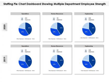 Staffing pie chart dashboard showing multiple department employee strength