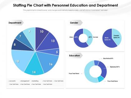 Staffing pie chart with personnel education and department