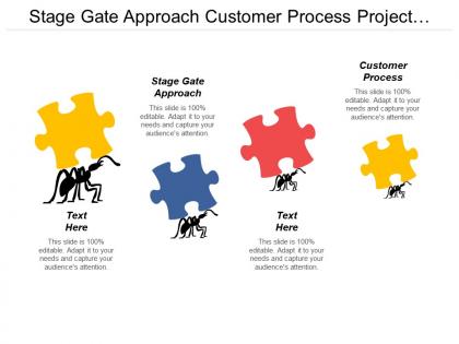Stage gate approach customer process project management stage cpb