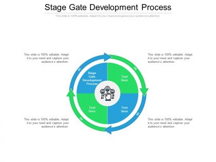 Stage gate development process ppt powerpoint presentation ideas examples cpb