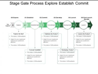 Stage gate process explore establish commit