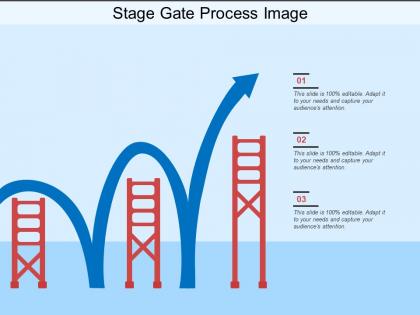 Stage gate process image