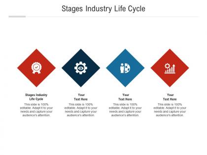 Stages industry life cycle ppt powerpoint presentation file infographics cpb