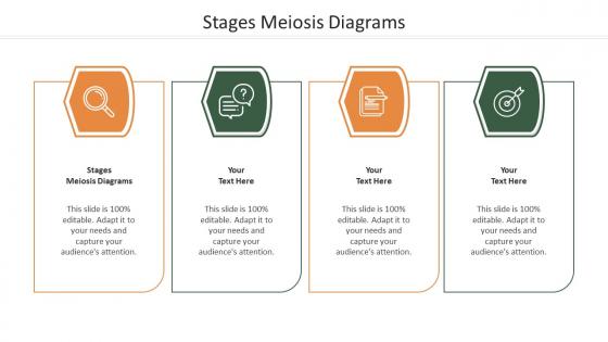Stages Meiosis Diagrams Ppt Powerpoint Presentation Pictures Clipart Images Cpb
