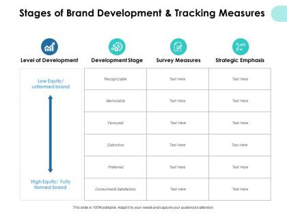 Stages of brand development and tracking measures ppt slides