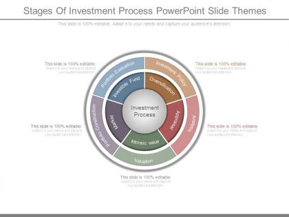 Stages of investment process powerpoint slide themes