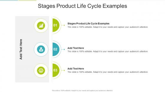 Stages Product Life Cycle Examples In Powerpoint And Google Slides Cpb