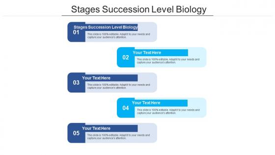 Stages succession level biology ppt powerpoint presentation summary images cpb