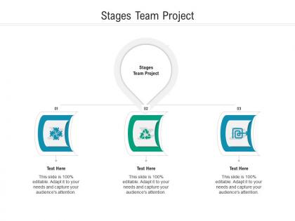 Stages team project ppt powerpoint presentation file designs cpb