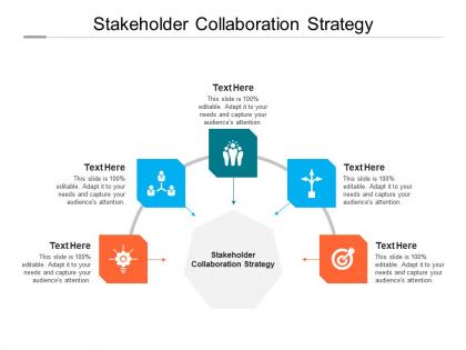 Stakeholder collaboration strategy ppt powerpoint presentation show icons cpb