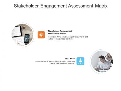Stakeholder engagement assessment matrix ppt powerpoint presentation summary objects cpb