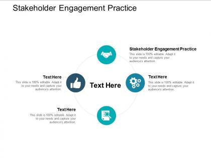 Stakeholder engagement practice ppt powerpoint presentation icon format ideas cpb