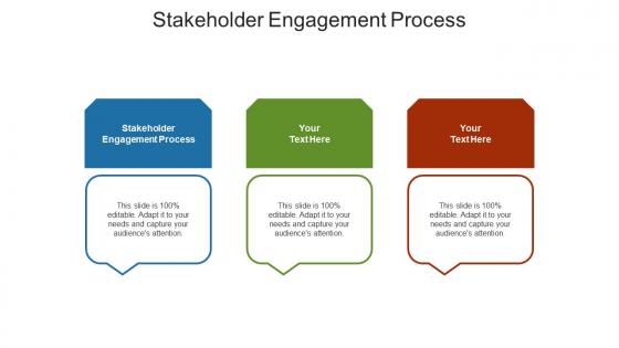 Stakeholder engagement process ppt powerpoint presentation infographic template infographics cpb