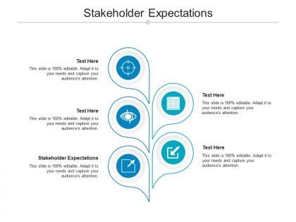 Stakeholder expectations ppt powerpoint presentation portfolio outline cpb
