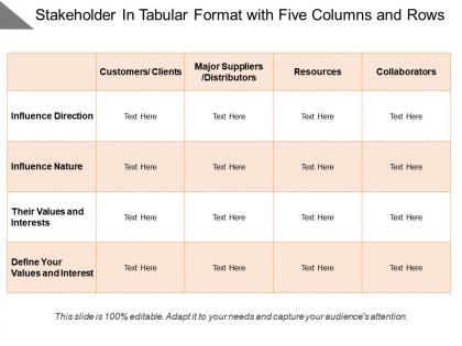 Stakeholder in tabular format with five columns and rows