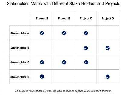Stakeholder matrix with different stake holders and projects