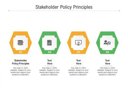 Stakeholder policy principles ppt powerpoint presentation visual aids example 2015 cpb