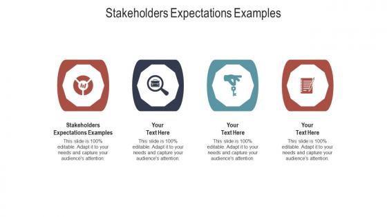 Stakeholders expectations examples ppt powerpoint presentation show slide portrait cpb