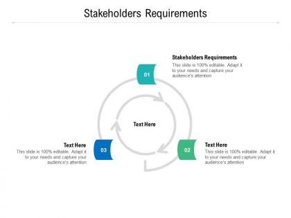 Stakeholders requirements ppt powerpoint presentation show display cpb