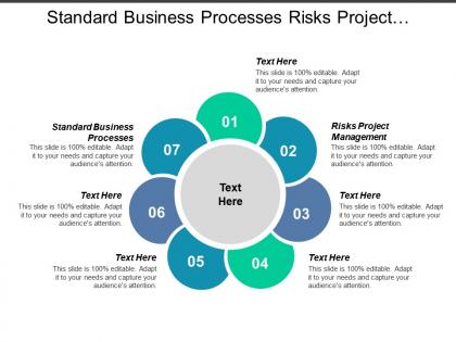 Standard business processes risks project management work life balance cpb