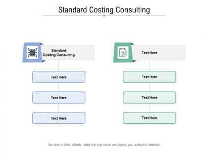 Standard costing consulting ppt powerpoint infographic template model cpb