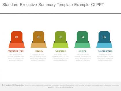 Standard executive summary template example of ppt