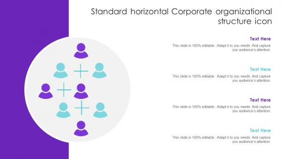 Standard Horizontal Corporate Organizational Structure Icon