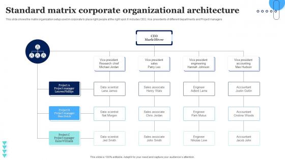 Standard Matrix Corporate Organizational Architecture