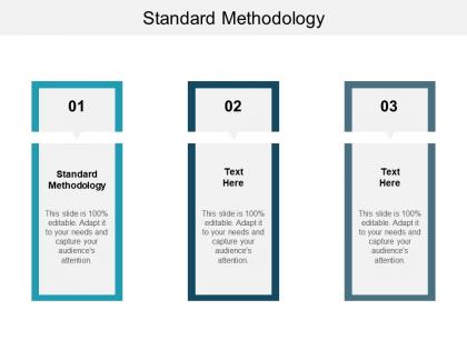 Standard methodology ppt powerpoint presentation layouts background designs cpb