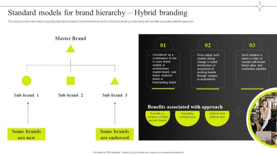 Standard Models For Brand Hierarchy Hybrid Branding Efficient Management Of Product Corporate