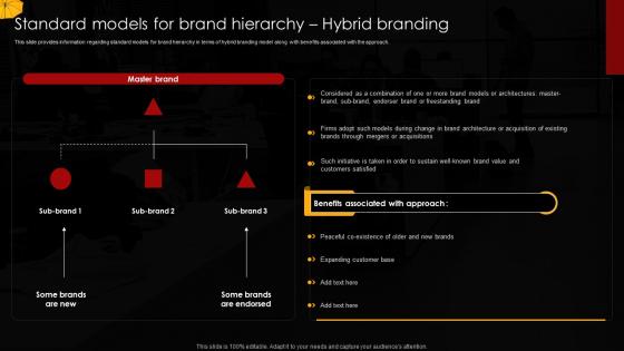 Standard Models For Brand Hierarchy Hybrid Umbrella Branding To Manage Brands Family