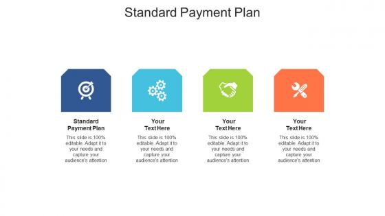 Standard payment plan ppt powerpoint presentation outline model cpb