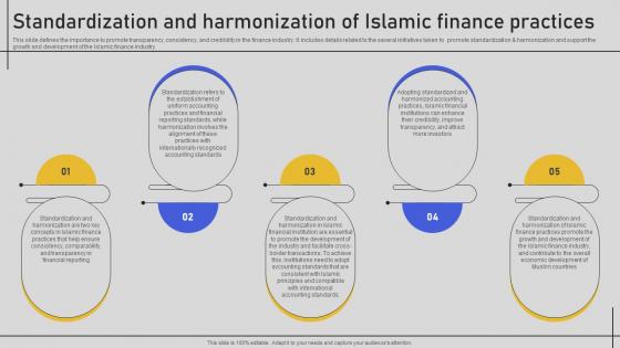 Standardization And Harmonization Of Islamic Finance Practices Comprehensive Overview Fin SS V