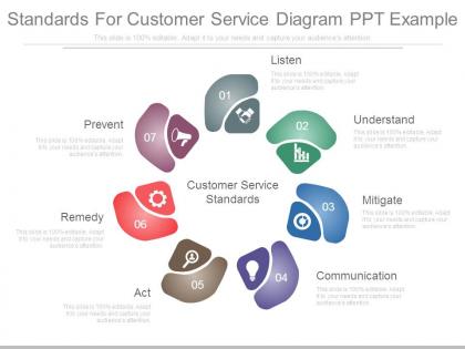 Standards for customer service diagram ppt example