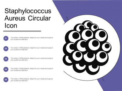 Staphylococcus aureus circular icon