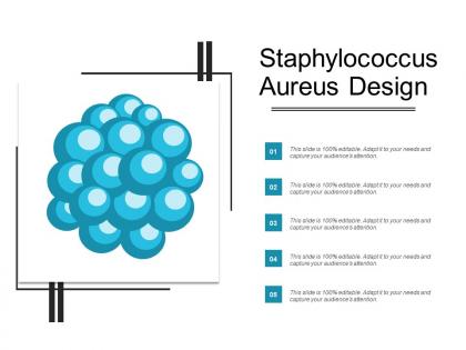 Staphylococcus aureus design