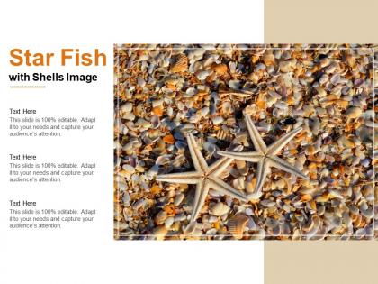 Star fish with shells image