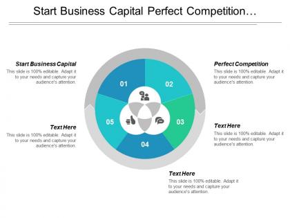 Start business capital perfect competition organizational management executive summary cpb