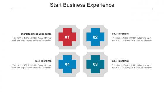 Start Business Experience Ppt Powerpoint Presentation Outline Guidelines Cpb