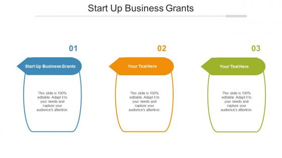 Start Up Business Grants Ppt Powerpoint Presentation Styles Example Cpb