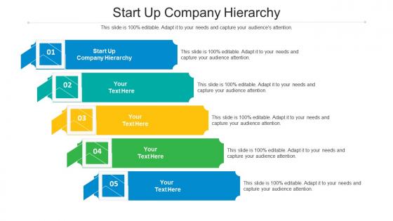 Start up company hierarchy ppt powerpoint presentation gallery examples cpb
